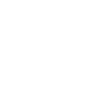 7ff icon