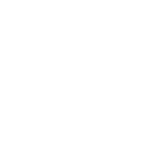 7ff icon
